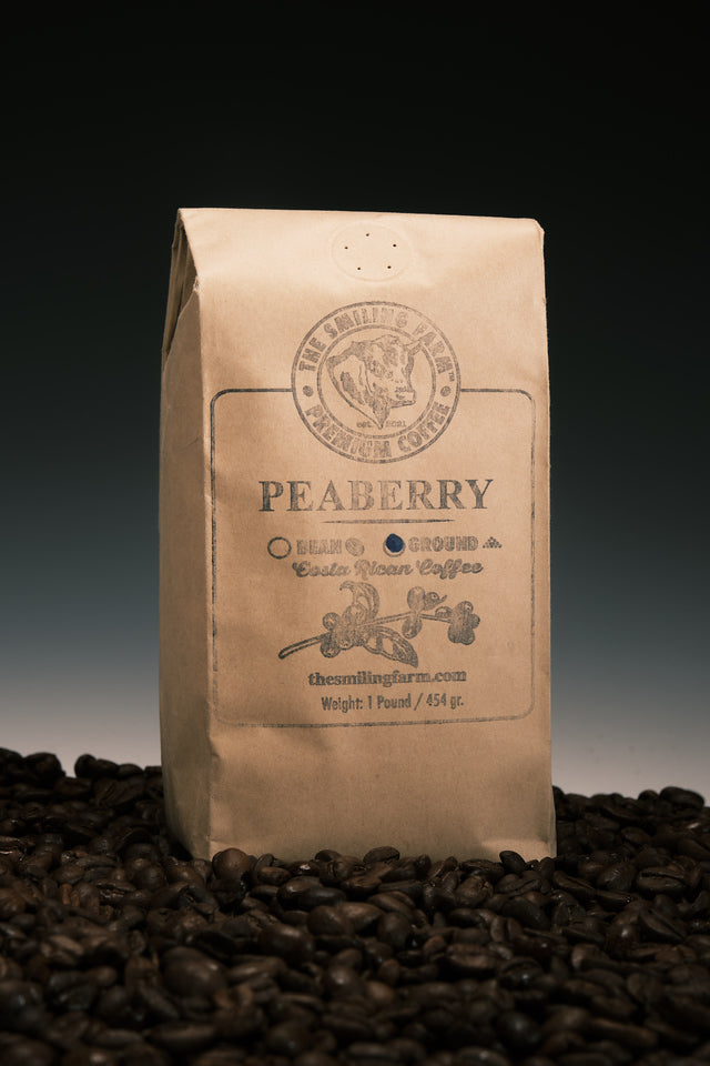 Peaberry